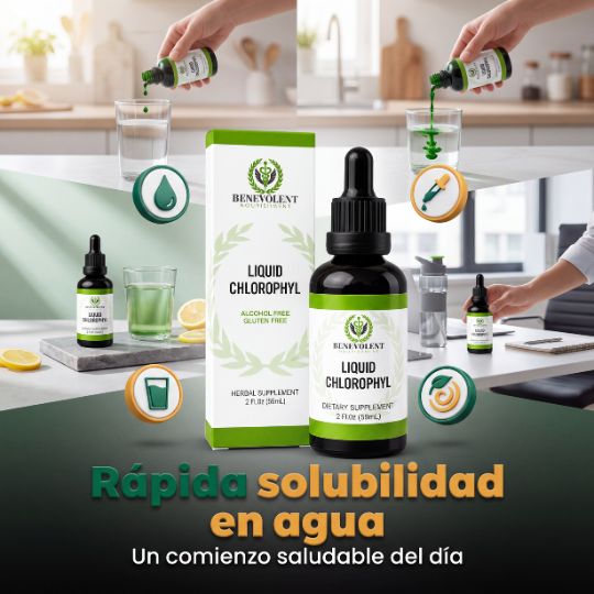 Oxicell® | CLOROFILA BENEVOLENT X 60 ML