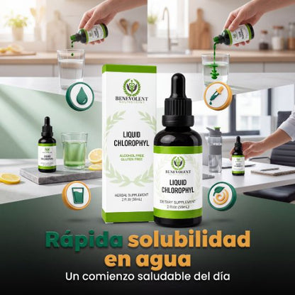 Oxicell® | CLOROFILA BENEVOLENT X 60 ML