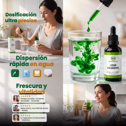 Oxicell® | CLOROFILA BENEVOLENT X 60 ML