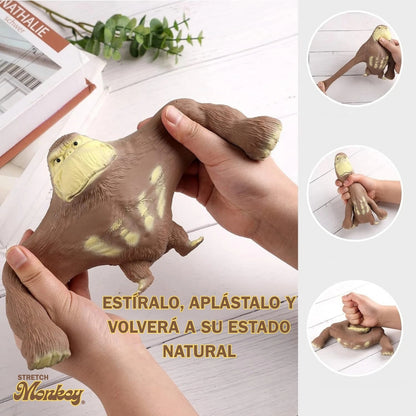 Stretch Monkey® | Mono elástico antiestrés 10CM
